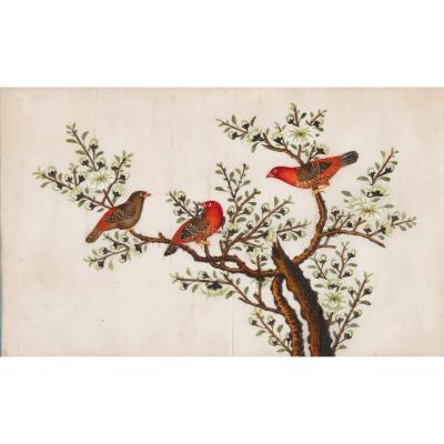 Set of twelve antique Chinese painted bird studies on pith paper