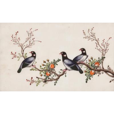 Set of twelve antique Chinese painted bird studies on pith paper