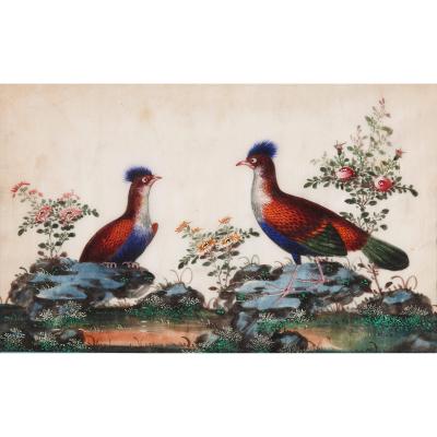 Set of twelve antique Chinese painted bird studies on pith paper