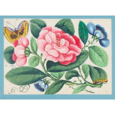 Set of twelve antique Chinese pith paintings with flowers and butterflies