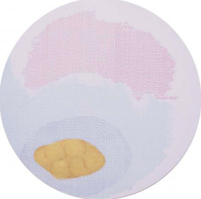 Shahzad Hassan Ghazi One by One 2020