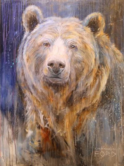 Shannon Ford Face of Curiosity