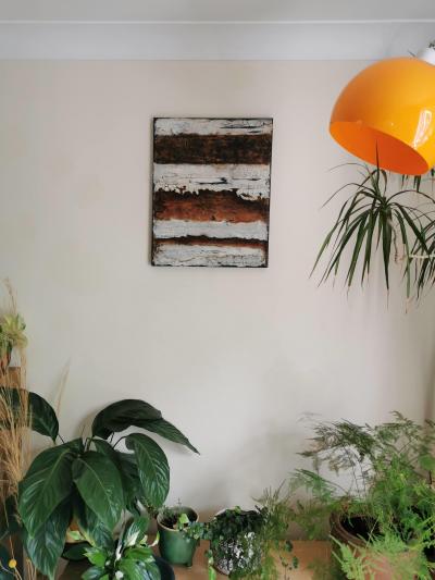 Shelly Cook Hidden Depths