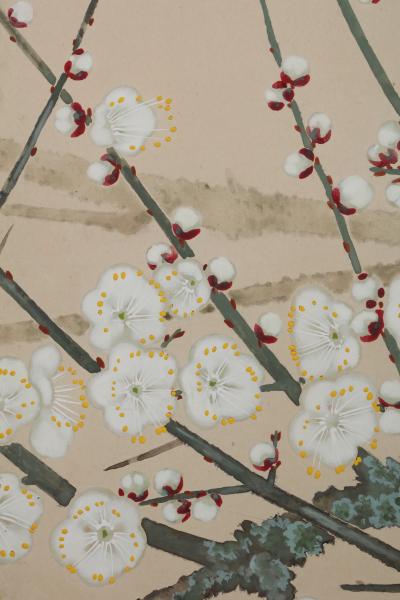 Shirayama Shunp Blooming Plum Trees and Birds ca 1915