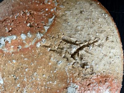 Shiro Tsujimura Japanese Contemporary Iga Stoneware Bowl by Shiro Tsujimura