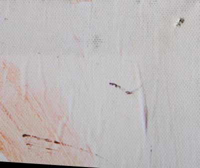 Sid Maurer Lady Gaga