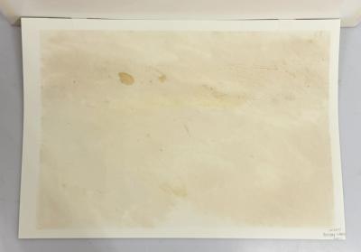 Signed Abstract Expressionist Landscape Mid Day Shower 20th Century