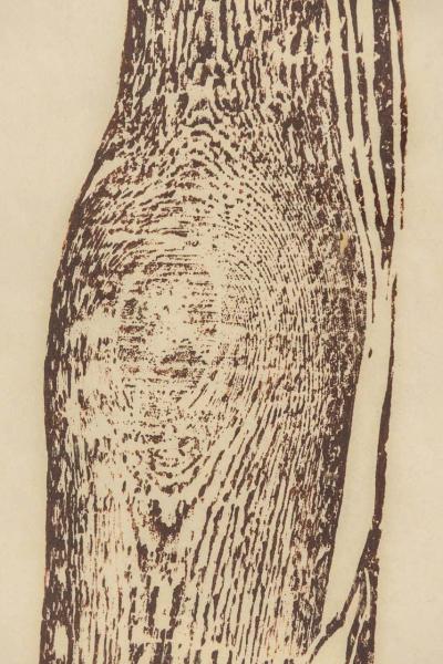 Signed Serigraph Print of Tree Trunk Female