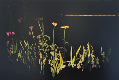 Silke Schoener STILL LIFE 2