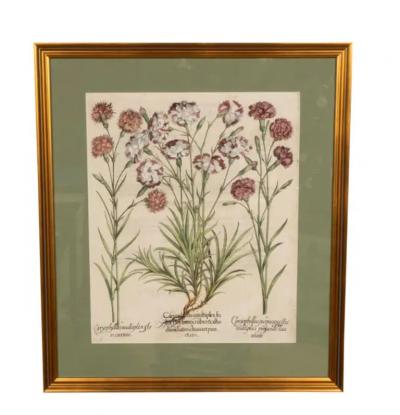 Six Assorted Framed Botanicals By Besler