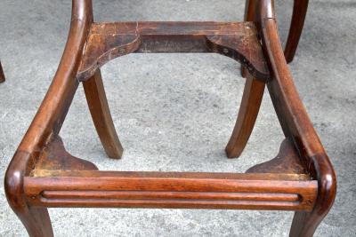 Six Philadelphia Klismos Dining Chairs