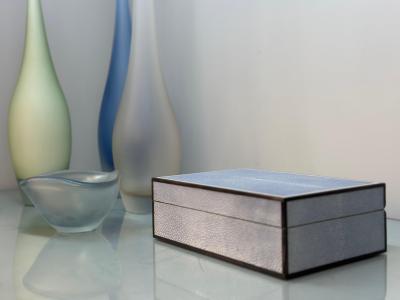 Sky Blue Shagreen and Macassar Ebony Box with Bone Inlay