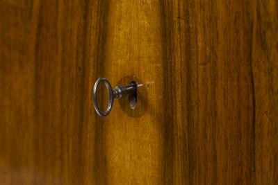 Sleek Biedermeier Two Drawer Walnut Chest