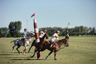 Slim Aarons Polo In Buenos Aires