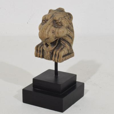 Small 17th 18th Century French Carved Oak Lion Fragment