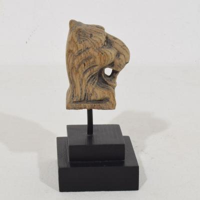 Small 17th 18th Century French Carved Oak Lion Fragment