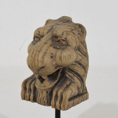 Small 17th 18th Century French Carved Oak Lion Fragment
