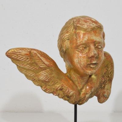 Small 18th Century French Baroque Carved Giltwood Angel Head on Wings