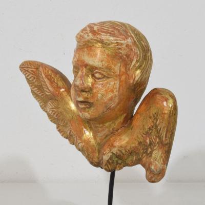 Small 18th Century French Baroque Carved Giltwood Angel Head on Wings