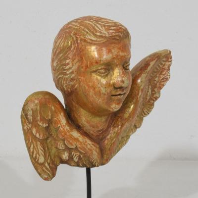Small 18th Century French Baroque Carved Giltwood Angel Head on Wings