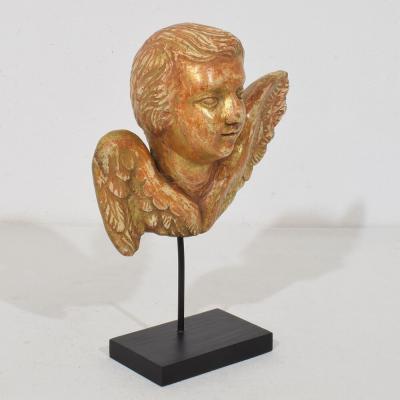 Small 18th Century French Baroque Carved Giltwood Angel Head on Wings