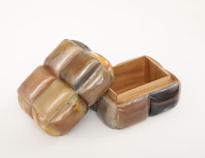 Small Horn Cushion Box