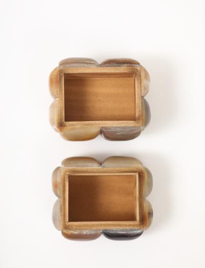 Small Horn Cushion Box