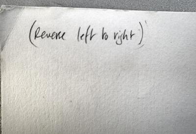 Smilby Smilby Rhino Has a Swinging Weekend Sexy Mens Magazine Cartoon