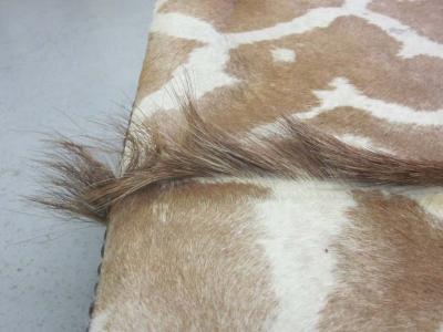 Sober French Mid Century Modern Bench Covered in Giraffe Skin