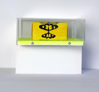 Soo Young Kim Butterfly Queen 3