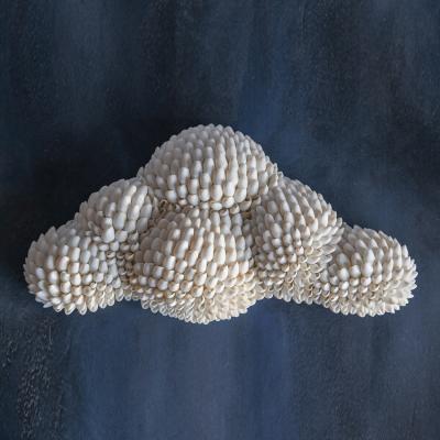 Sophie Brillouet METAMORPHOSE IX Seashell cloud wall sculpture