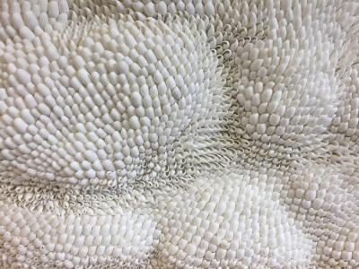 Sophie Brillouet METAMORPHOSE Seashell sculpture