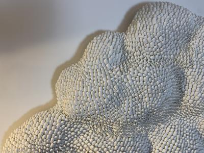 Sophie Brillouet METAMORPHOSE Seashell sculpture