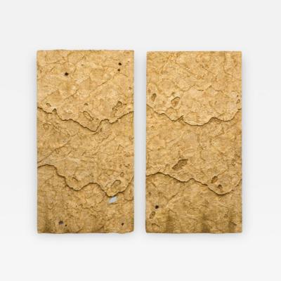 Sophie Coryndon Sophie Coryndon Dossel Diptych UK 2018