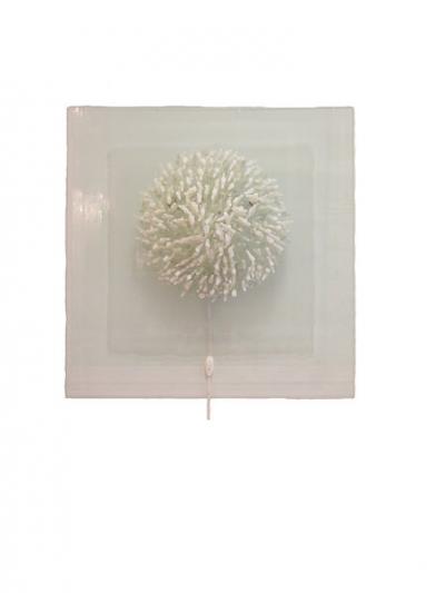 Square Hand Blown Glass Coral Look Wall Light