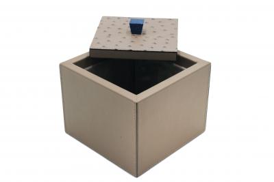 Square Taupe Leather Box 1