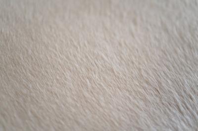 Stamford Modern Sculptural ICO Bench Series 48 in Espresso by Stamford Modern