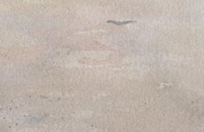 Stan Masters East Wind