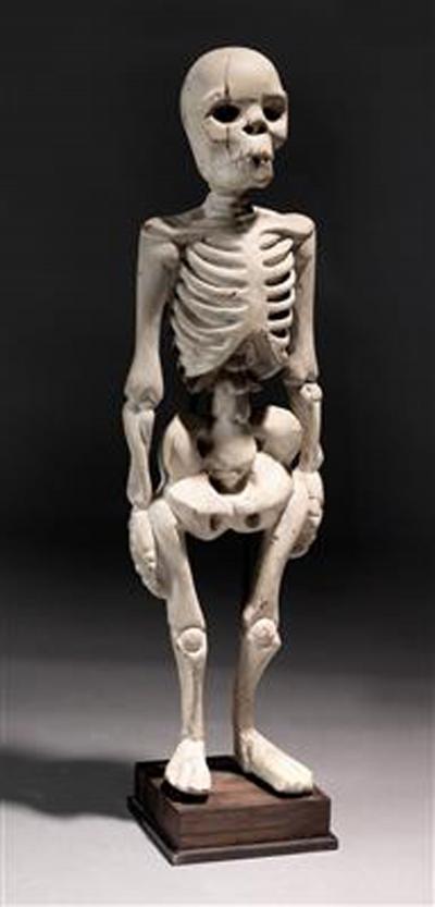Standing Human Skeleton Sculptured in Wood
