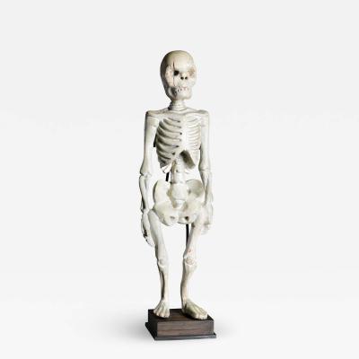 Standing Human Skeleton Sculptured in Wood