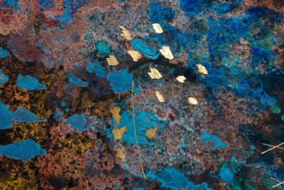 Stefan Rurak Stefan Rurak Action Series Concrete and Brass Occasional Table USA 2023