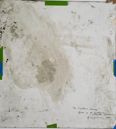 Stephen Scott Young The Captains Lady