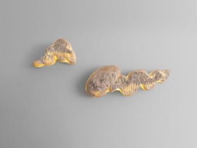 Stephen Shaheen Nebula Sconce 2022