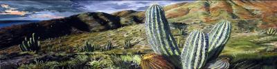Steve Cope California Cactus