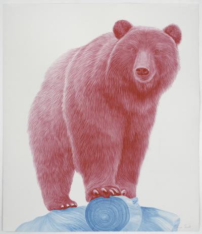 Steve Snell Magenta Bear 8