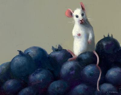 Stuart Dunkel Blueberry Hill 2026