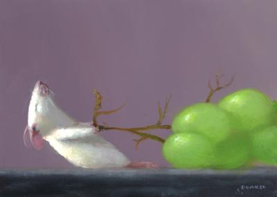 Stuart Dunkel Grape Hunter