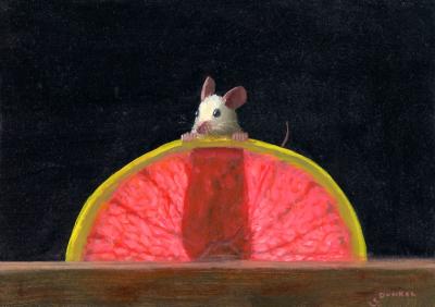 Stuart Dunkel Grapefruit X Ray 2026