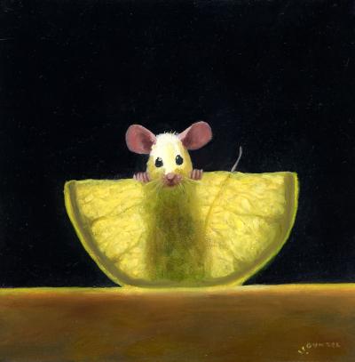Stuart Dunkel Lemon X Ray 2026