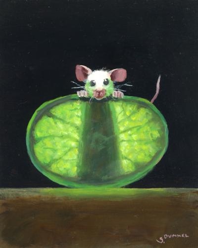 Stuart Dunkel Lime X Ray 2026